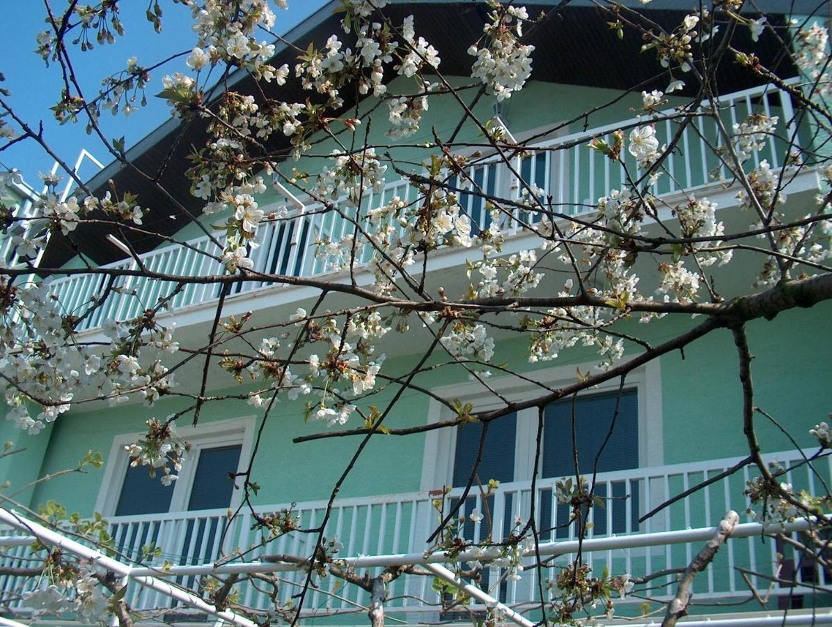 Pansion Devotions Hotel Medjugorje Exterior photo